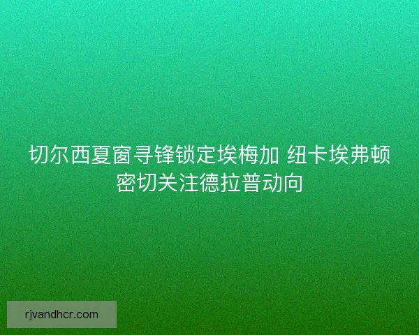 切尔西夏窗寻锋锁定埃梅加 纽卡埃弗顿密切关注德拉普动向